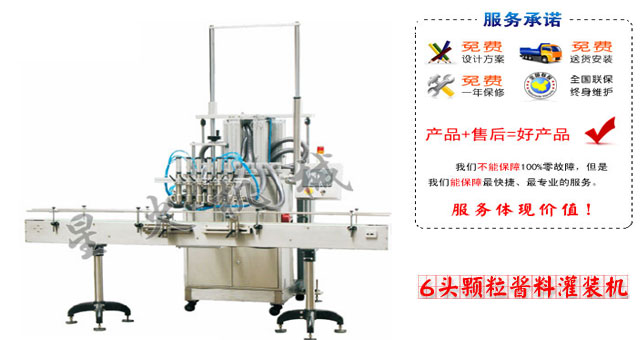 6头颗粒酱料灌装机